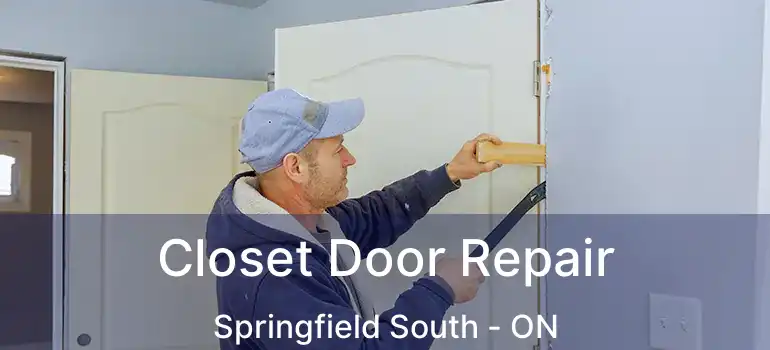  Closet Door Repair Springfield South - ON