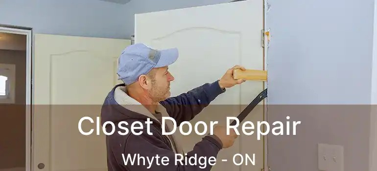  Closet Door Repair Whyte Ridge - ON