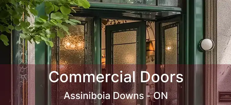  Commercial Doors Assiniboia Downs - ON