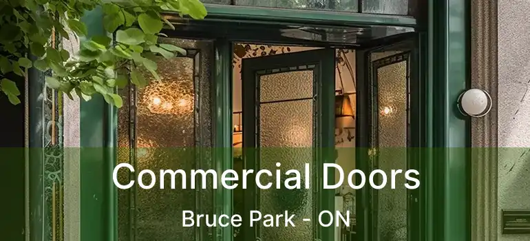  Commercial Doors Bruce Park - ON