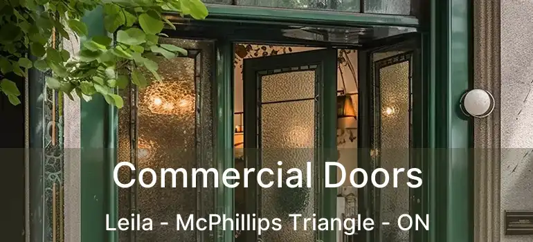  Commercial Doors Leila - McPhillips Triangle - ON