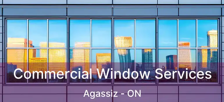  Commercial Window Services Agassiz - ON