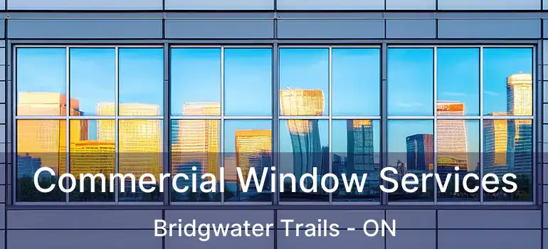  Commercial Window Services Bridgwater Trails - ON