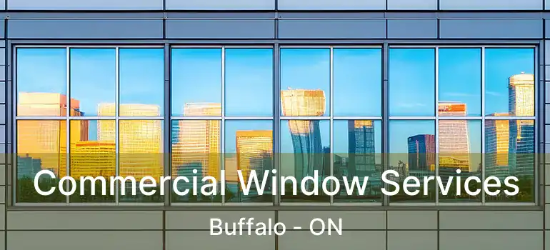  Commercial Window Services Buffalo - ON