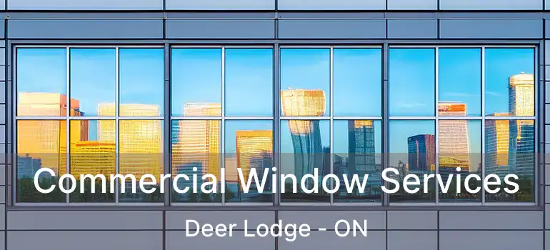  Commercial Window Services Deer Lodge - ON