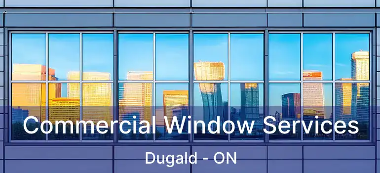  Commercial Window Services Dugald - ON