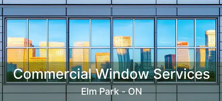  Commercial Window Services Elm Park - ON