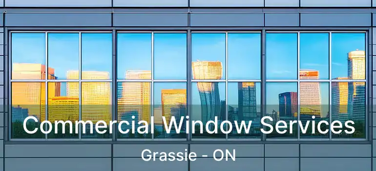  Commercial Window Services Grassie - ON