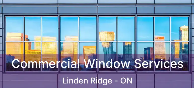  Commercial Window Services Linden Ridge - ON