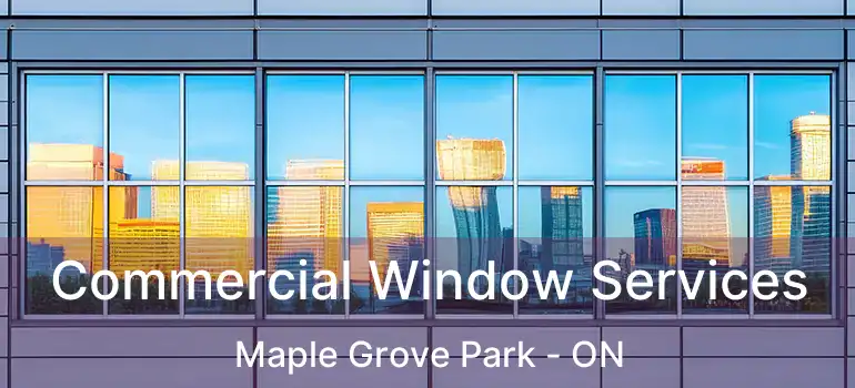  Commercial Window Services Maple Grove Park - ON