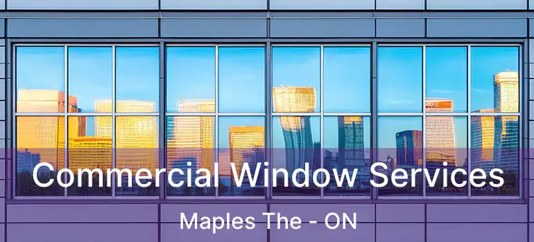  Commercial Window Services Maples The - ON