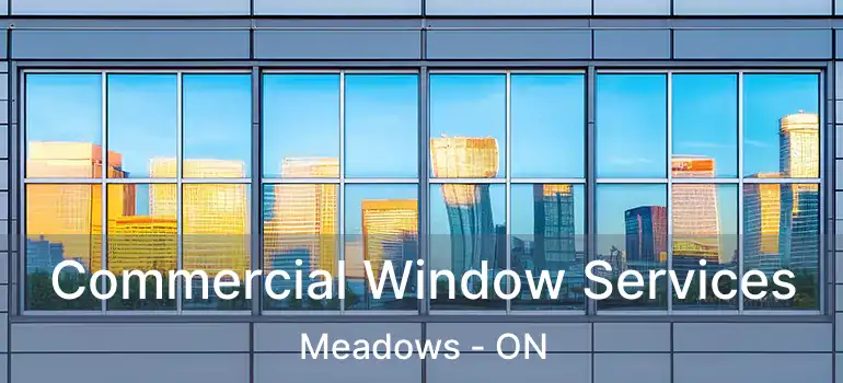  Commercial Window Services Meadows - ON