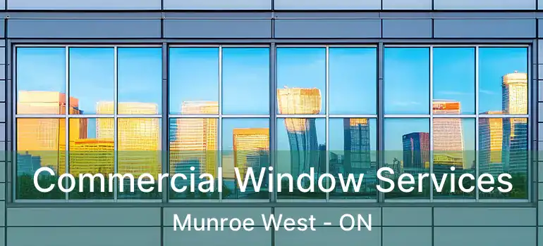  Commercial Window Services Munroe West - ON