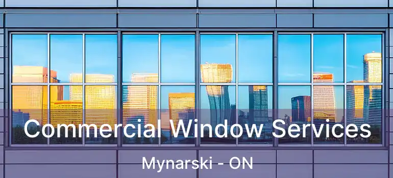  Commercial Window Services Mynarski - ON