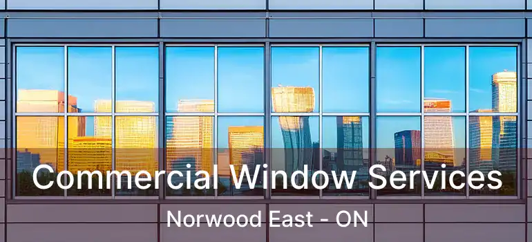  Commercial Window Services Norwood East - ON
