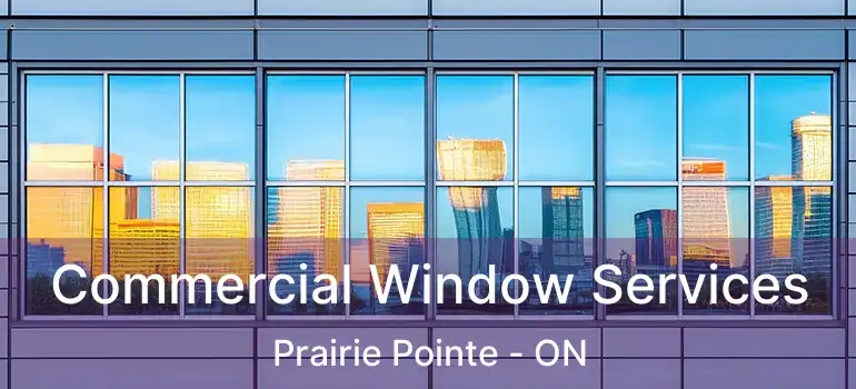  Commercial Window Services Prairie Pointe - ON