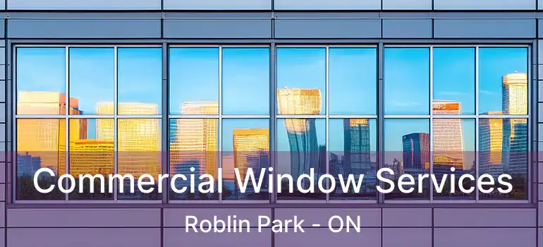  Commercial Window Services Roblin Park - ON