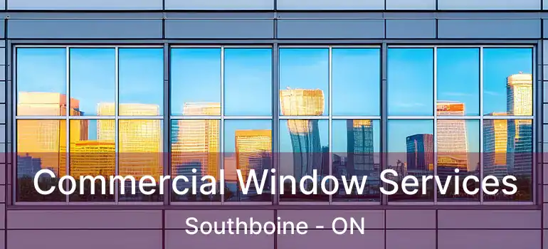  Commercial Window Services Southboine - ON