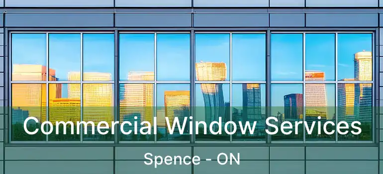  Commercial Window Services Spence - ON