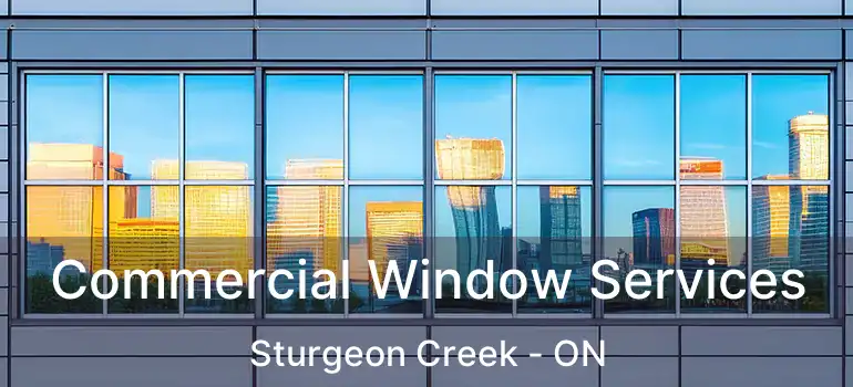  Commercial Window Services Sturgeon Creek - ON