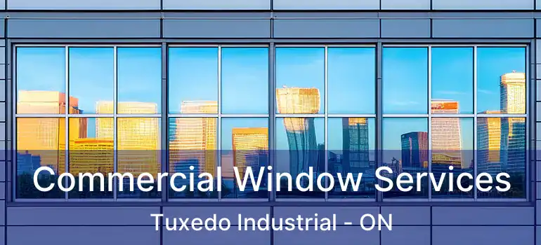  Commercial Window Services Tuxedo Industrial - ON