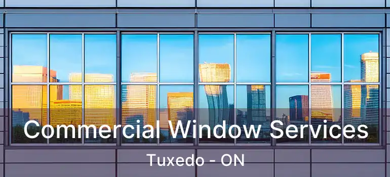  Commercial Window Services Tuxedo - ON