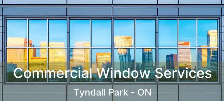  Commercial Window Services Tyndall Park - ON