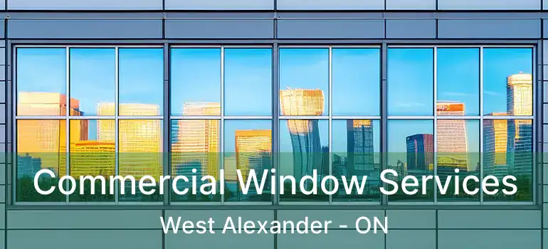  Commercial Window Services West Alexander - ON