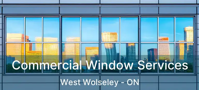  Commercial Window Services West Wolseley - ON