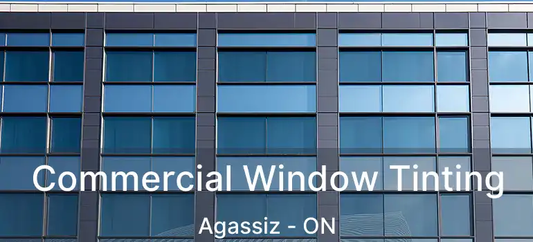  Commercial Window Tinting Agassiz - ON