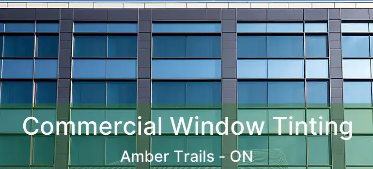  Commercial Window Tinting Amber Trails - ON