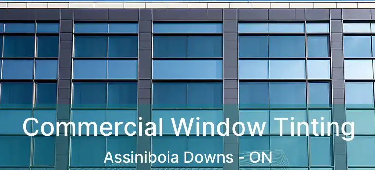  Commercial Window Tinting Assiniboia Downs - ON