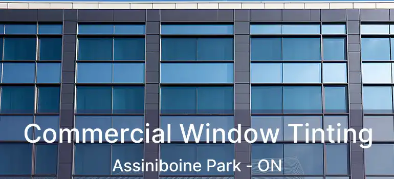  Commercial Window Tinting Assiniboine Park - ON