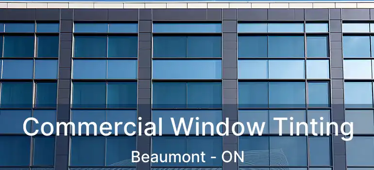  Commercial Window Tinting Beaumont - ON