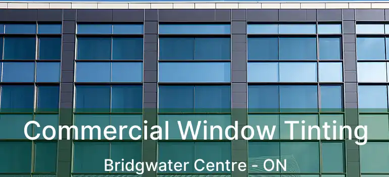  Commercial Window Tinting Bridgwater Centre - ON