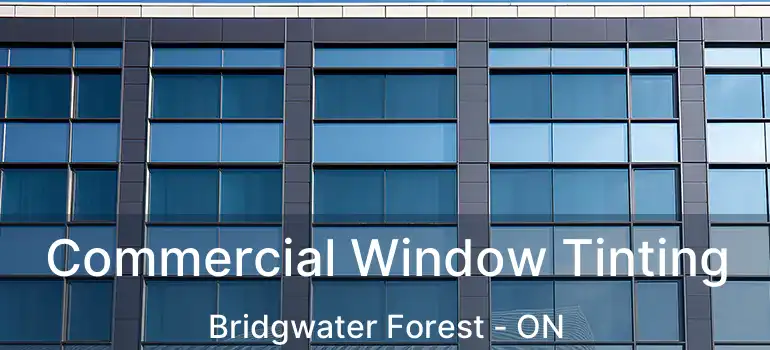  Commercial Window Tinting Bridgwater Forest - ON