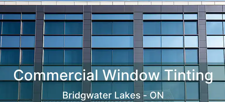  Commercial Window Tinting Bridgwater Lakes - ON