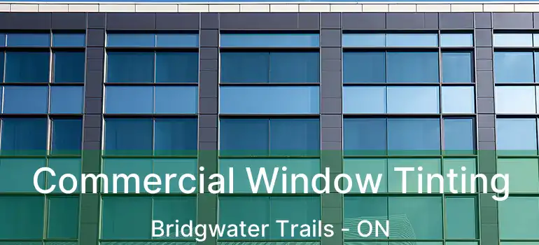  Commercial Window Tinting Bridgwater Trails - ON