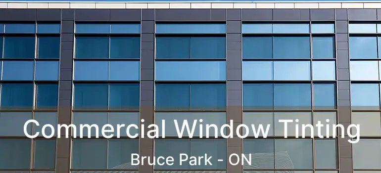  Commercial Window Tinting Bruce Park - ON