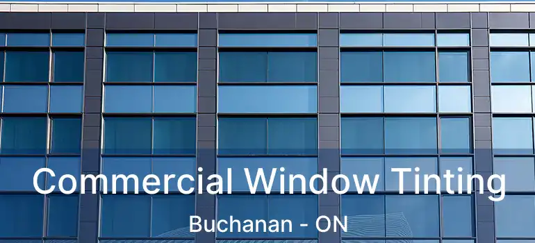  Commercial Window Tinting Buchanan - ON