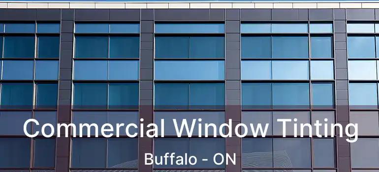  Commercial Window Tinting Buffalo - ON