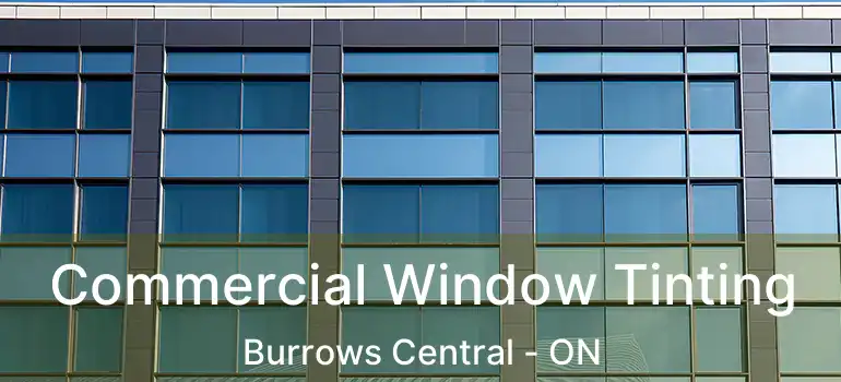  Commercial Window Tinting Burrows Central - ON
