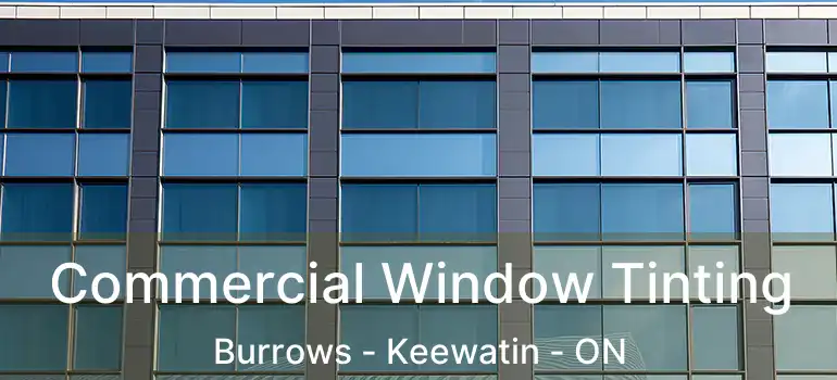  Commercial Window Tinting Burrows - Keewatin - ON