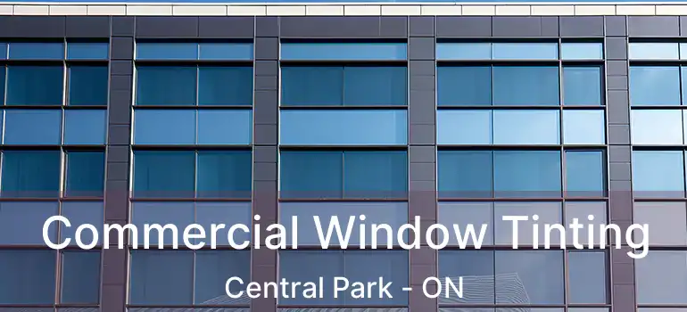  Commercial Window Tinting Central Park - ON