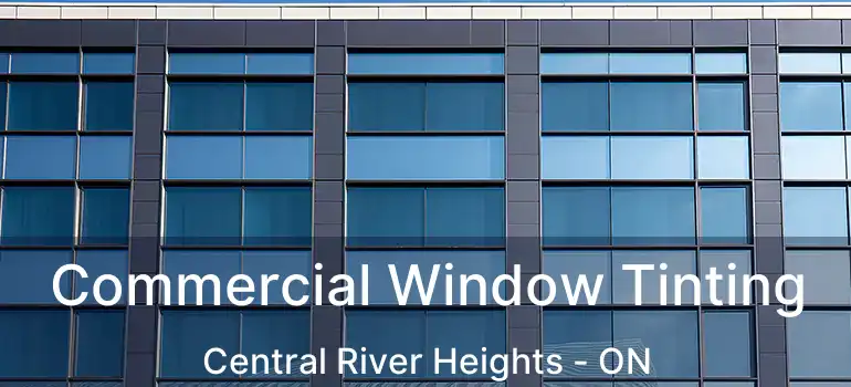  Commercial Window Tinting Central River Heights - ON