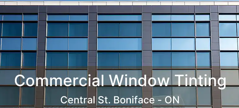  Commercial Window Tinting Central St. Boniface - ON