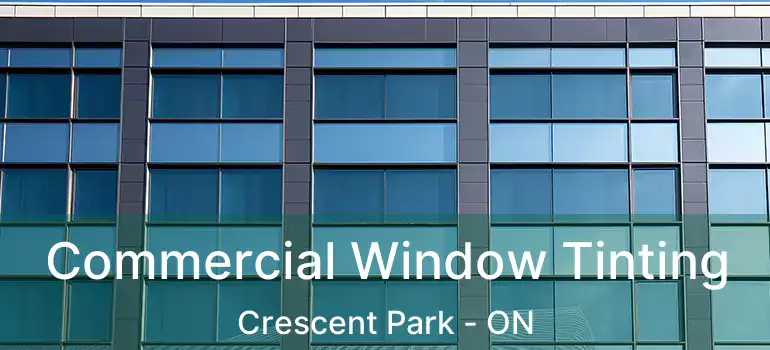  Commercial Window Tinting Crescent Park - ON