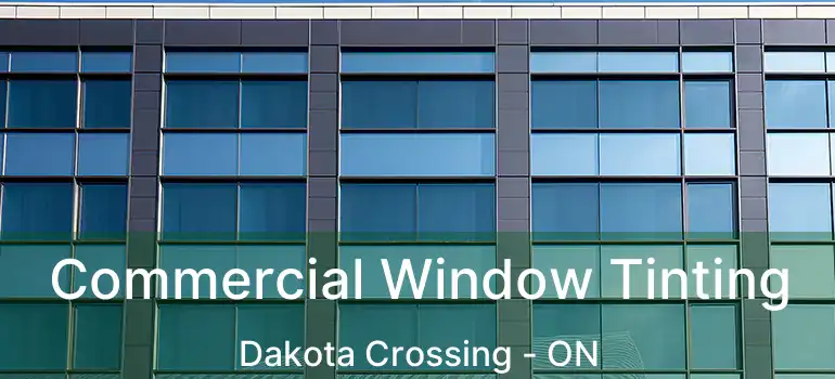  Commercial Window Tinting Dakota Crossing - ON