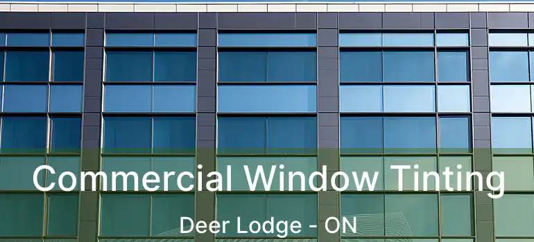  Commercial Window Tinting Deer Lodge - ON
