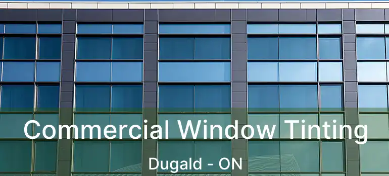  Commercial Window Tinting Dugald - ON